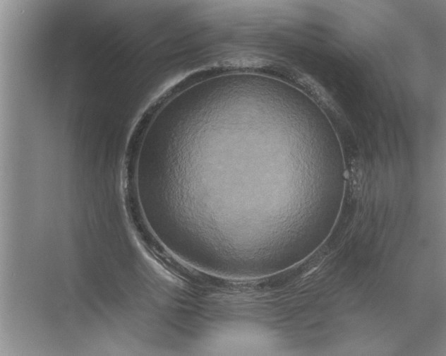 X0000072520726200607290157