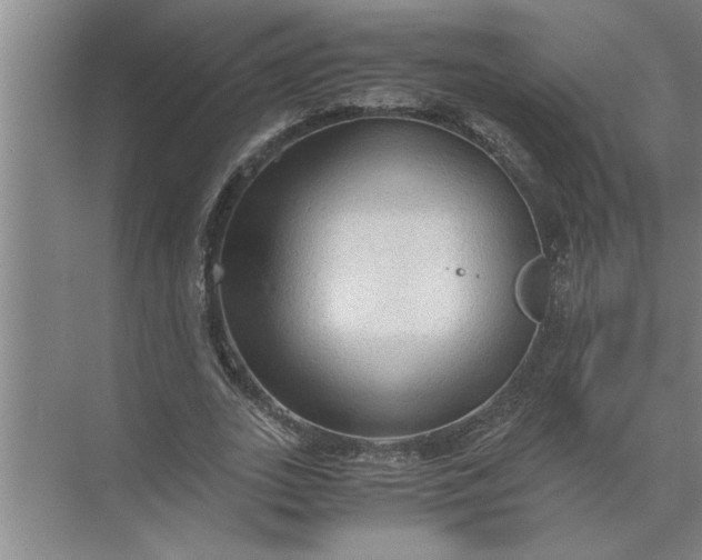 X0000072520727200607290157