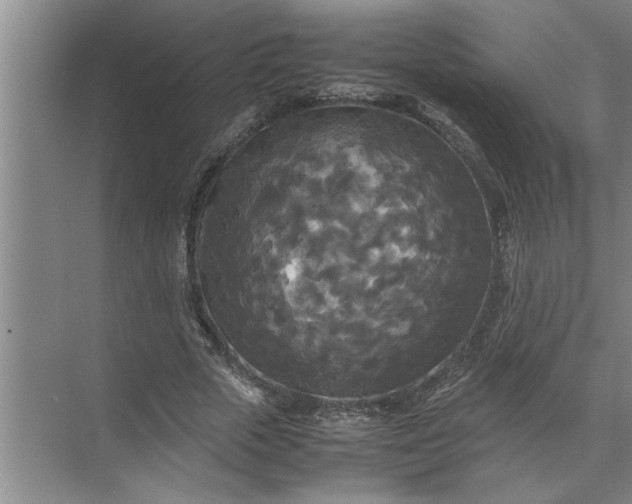 X0000072520729200607290157