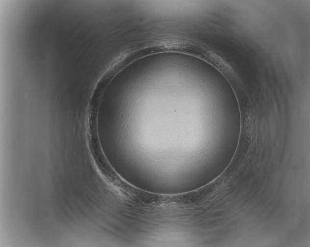 X0000072520730200607290157