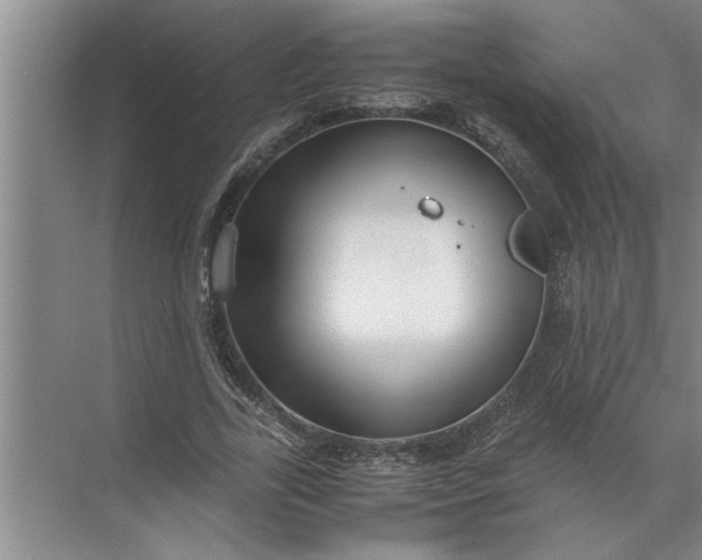 X0000072520731200607290157