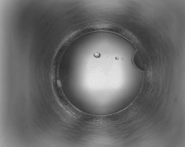 X0000072520732200607290157