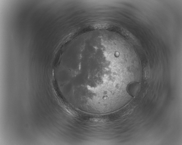 X0000072520733200607290157