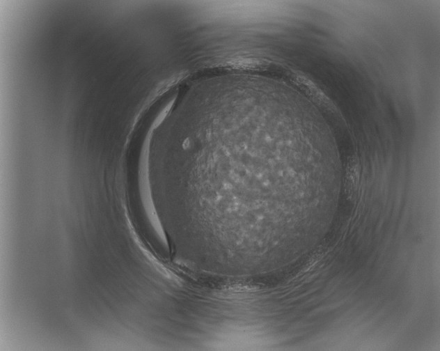 X0000072520734200607290157