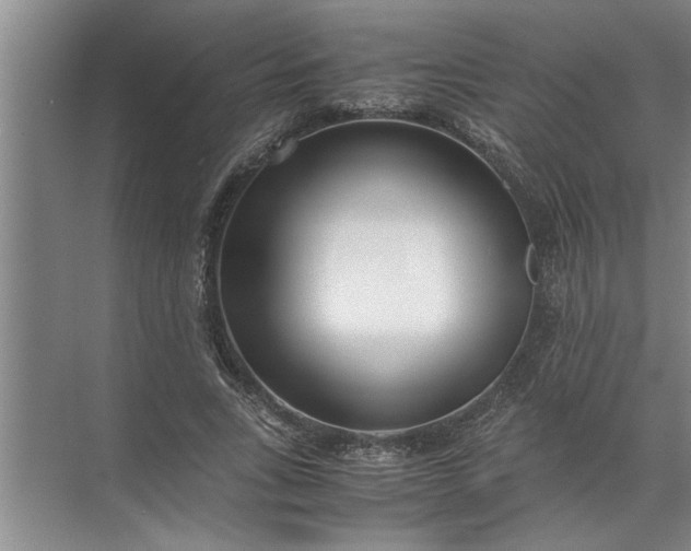 X0000072520735200607290158