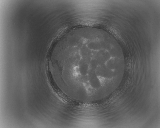 X0000072520738200607290158