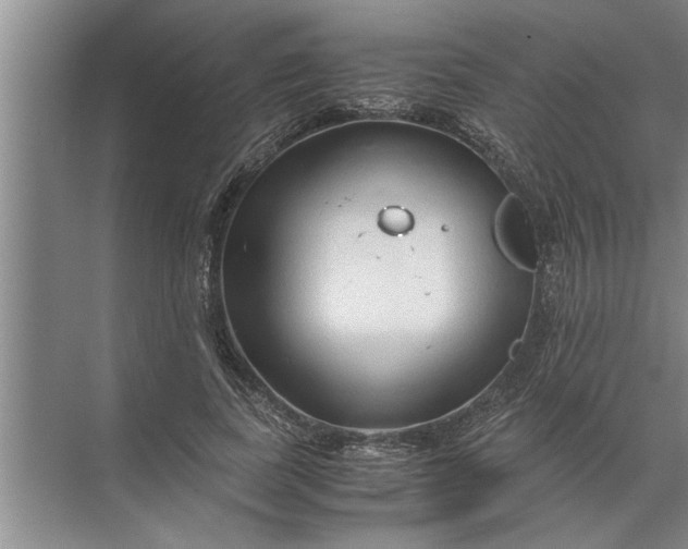 X0000072520739200607290158