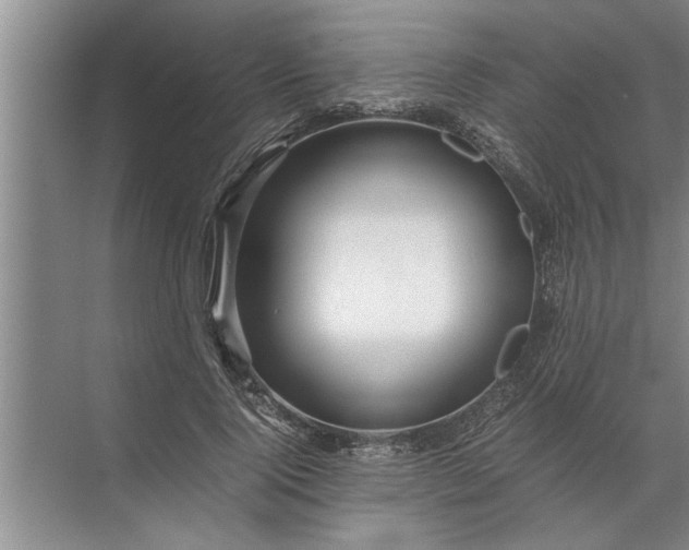 X0000072520740200607290158