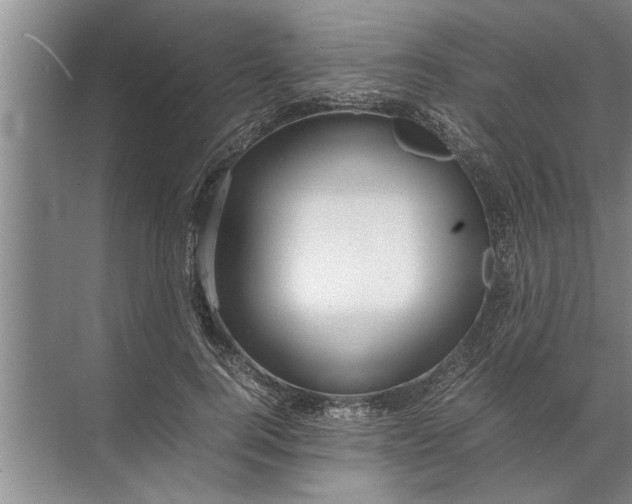 X0000072520744200607290158