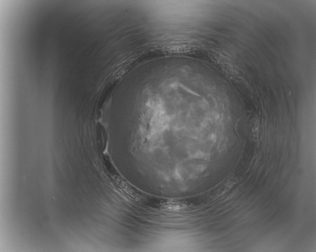 X0000072520746200607290158