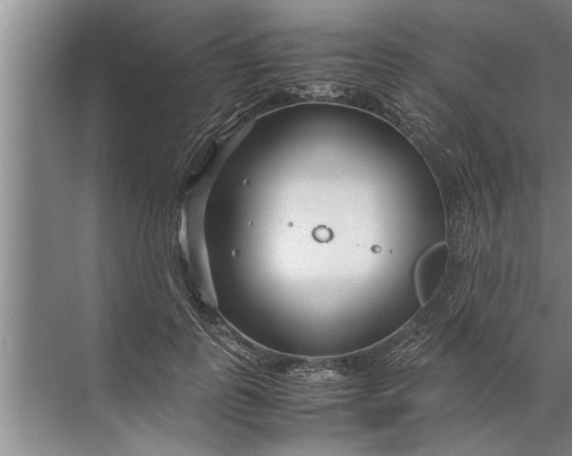 X0000072520747200607290158