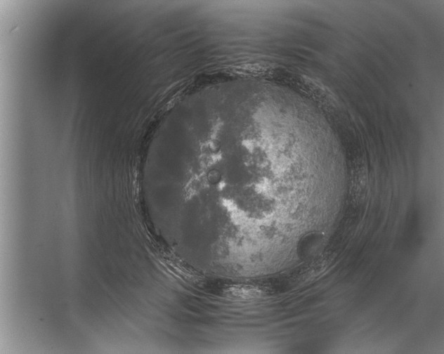 X0000072520749200607290158