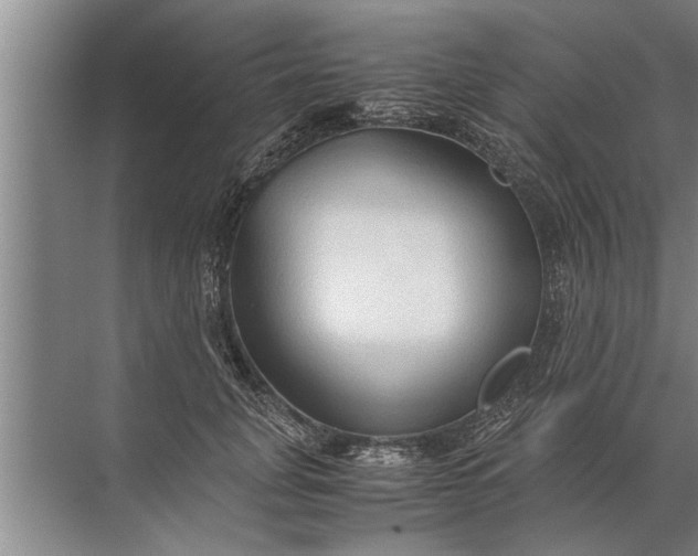 X0000072520751200607290158