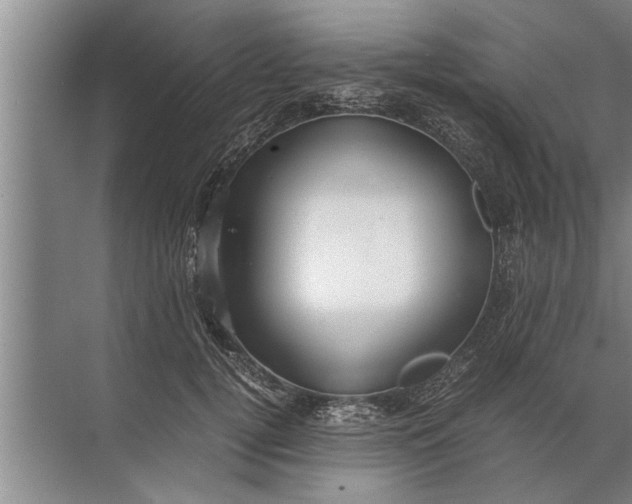 X0000072520752200607290158