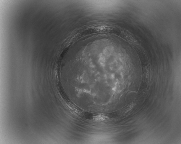 X0000072520754200607290158