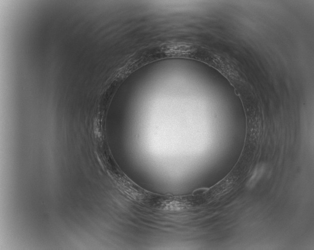 X0000072520755200607290158