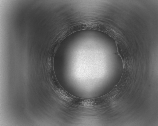 X0000072520756200607290158