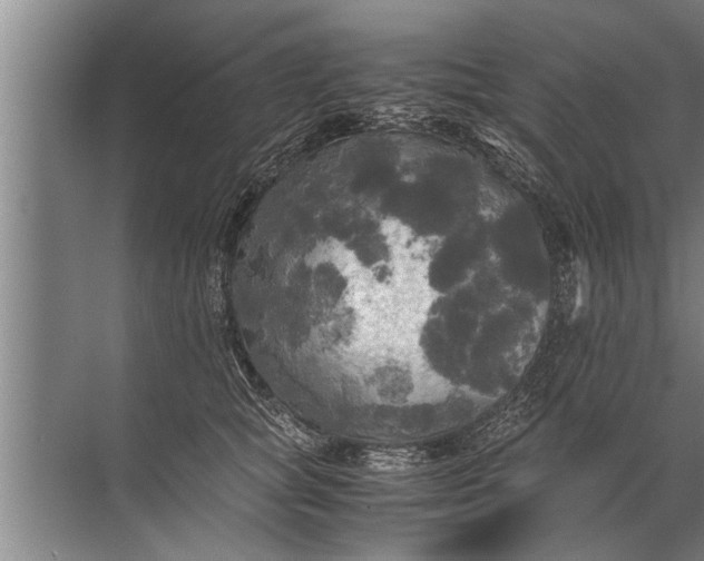 X0000072520757200607290158