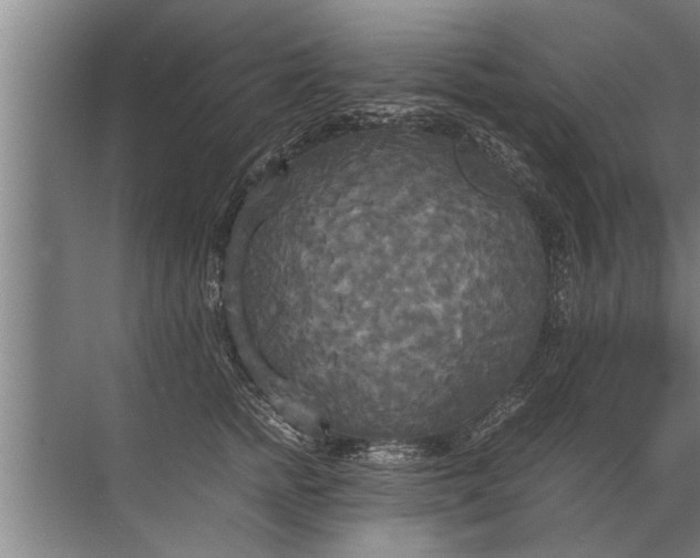 X0000072520758200607290158