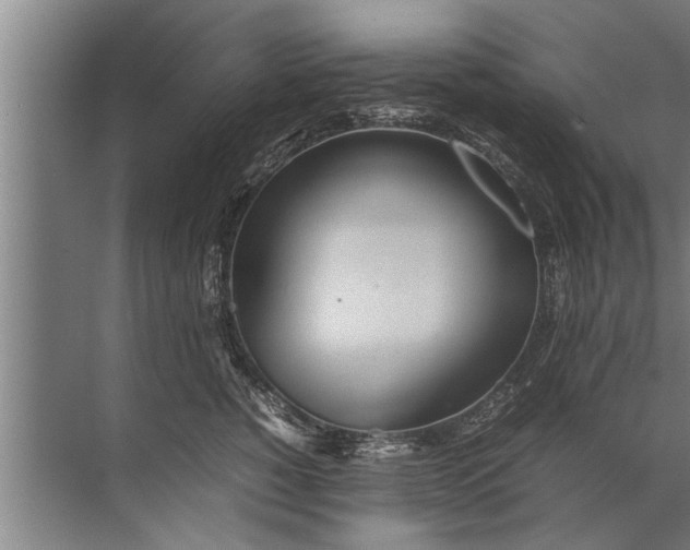 X0000072520760200607290158