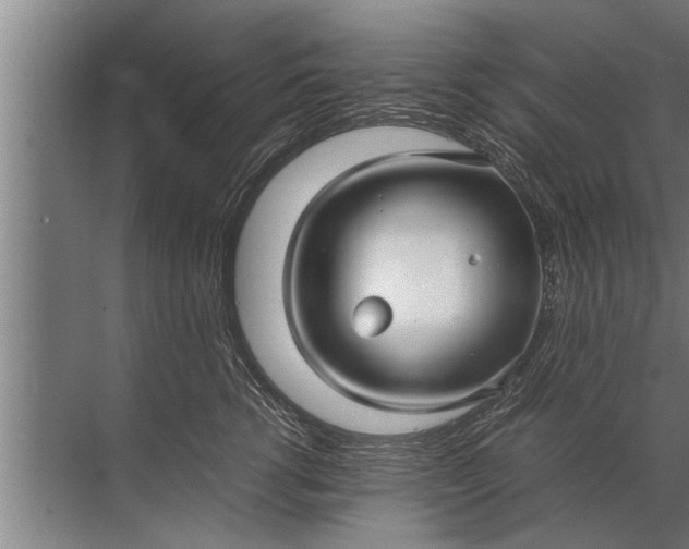 X0000072520762200607290158