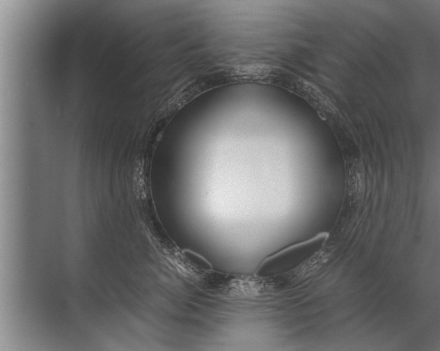 X0000072520764200607290158