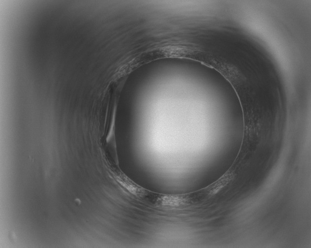 X0000072520766200607290158