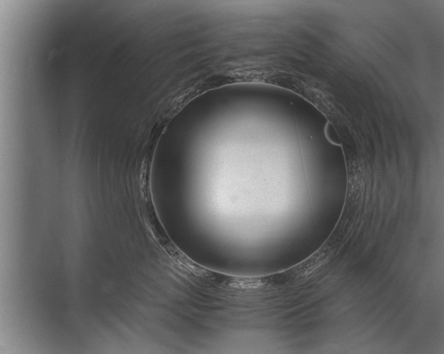 X0000072520767200607290158