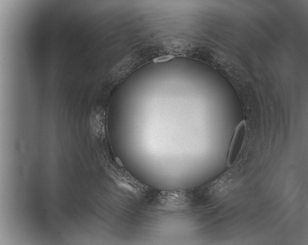 X0000072520768200607290158