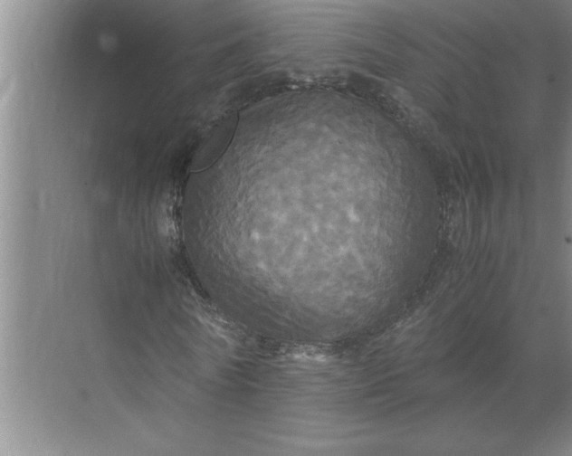 X0000072520770200607290157