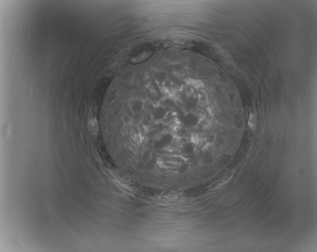 X0000072520771200607290157