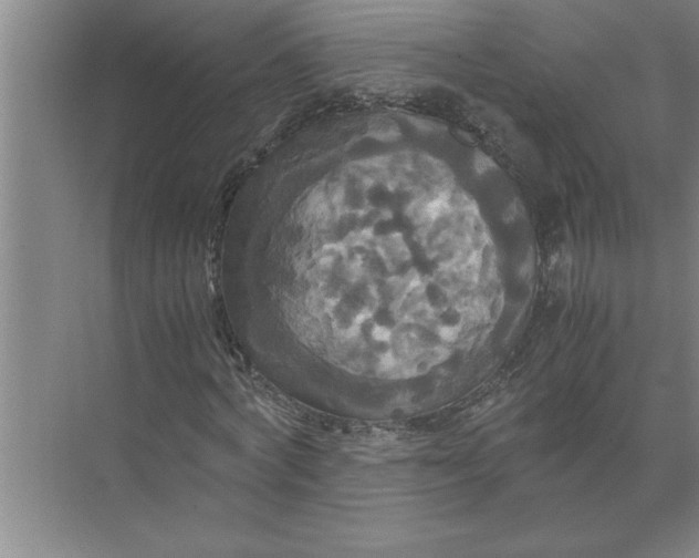 X0000072520772200607290157