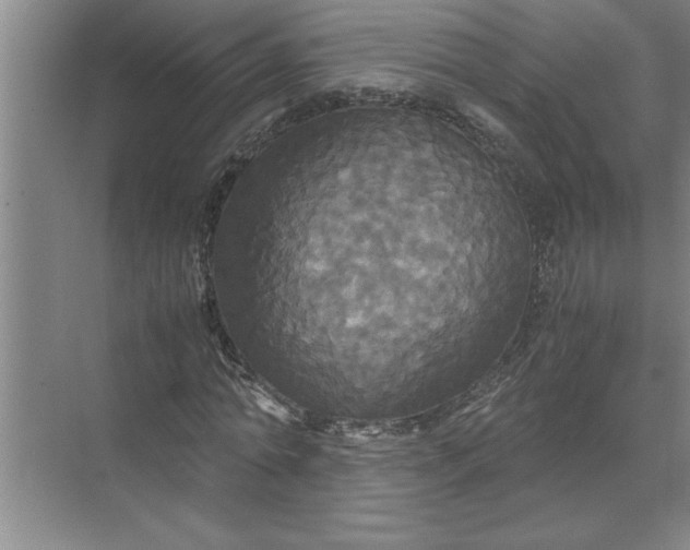 X0000072520774200607290157