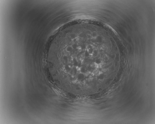 X0000072520775200607290157