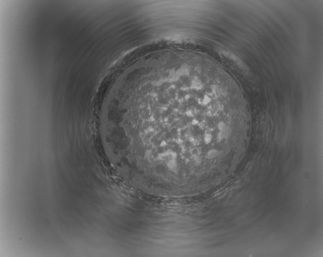 X0000072520776200607290157