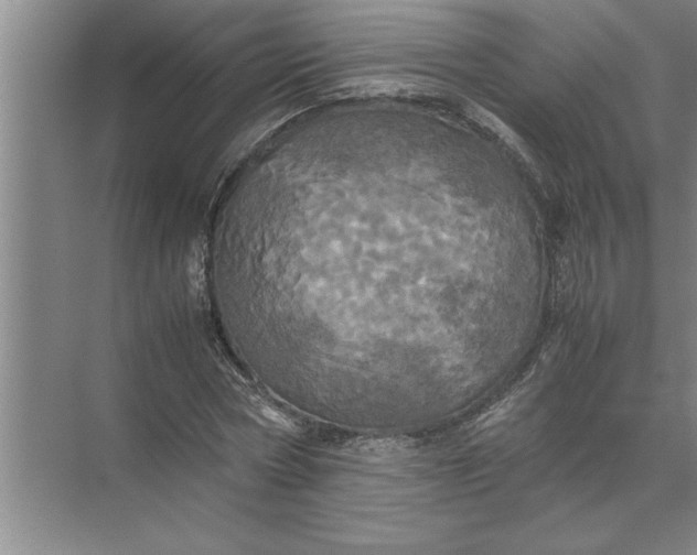 X0000072520778200607290157