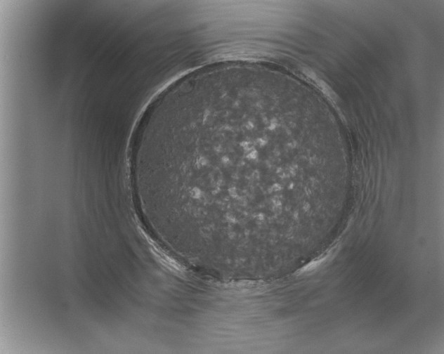 X0000072520779200607290157