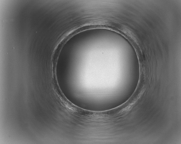 X0000072520781200607290157