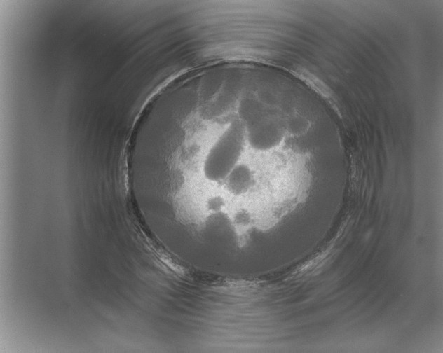 X0000072520782200607290157