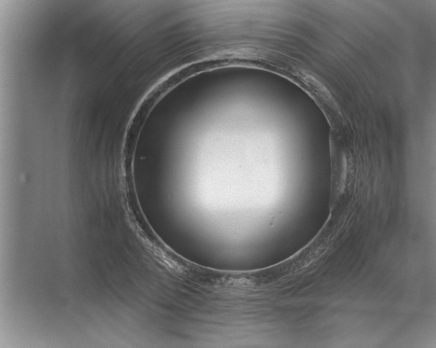 X0000072520784200607290157