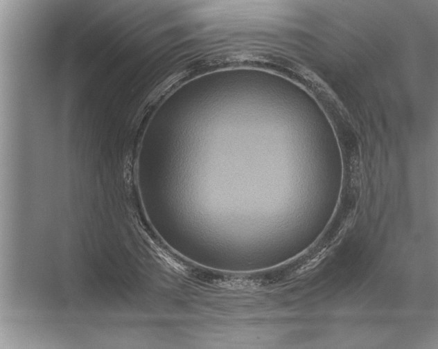 X0000072520785200607290157