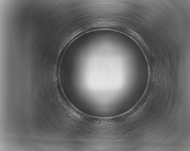 X0000072520786200607290157