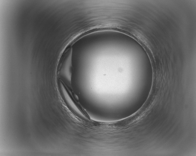 X0000072520789200607290157