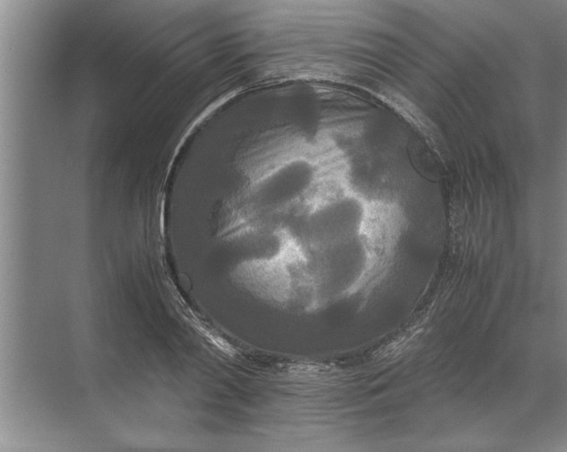 X0000072520790200607290157