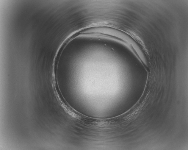 X0000072520792200607290157