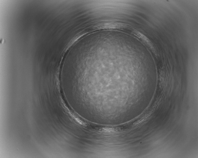 X0000072520794200607290157