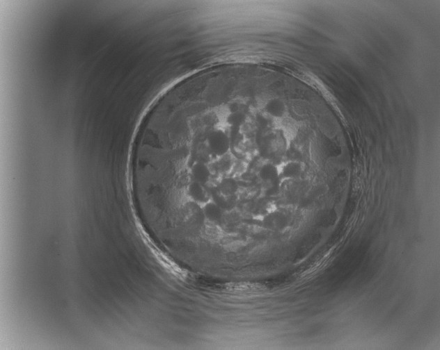 X0000072520795200607290157