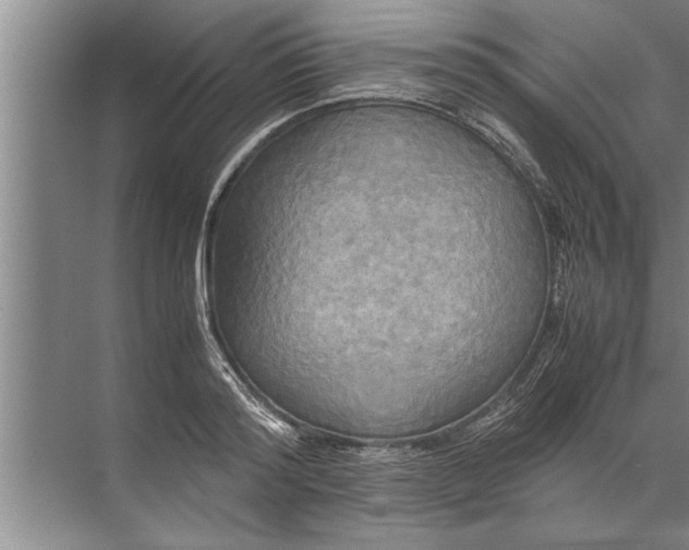 X0000072520796200607290157