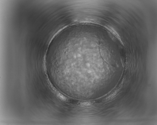 X0000072520798200607290157