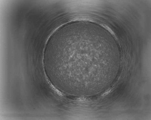 X0000072520799200607290157